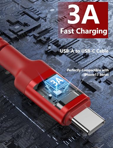 USB to USB C Cable 3A Fast Charging [2 Pack