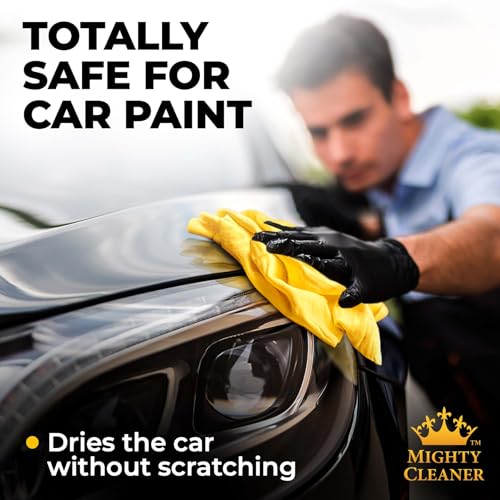 Premium Shammy Cloth for Car Drying (3 Count)
