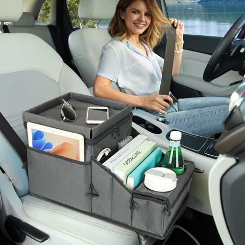 Backseat Organizer for Kids & Adults