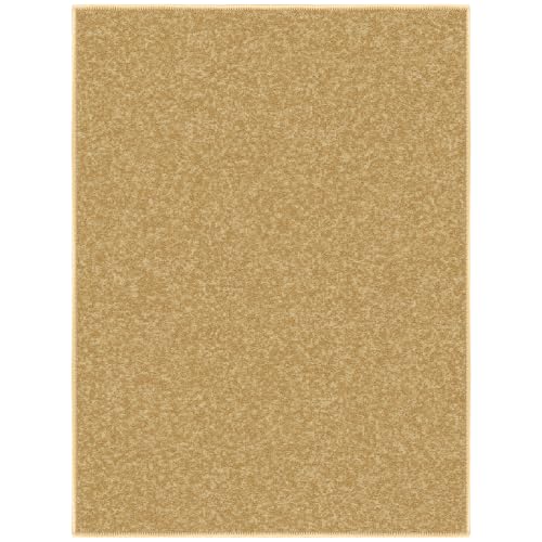 2x3 Entryway Rug