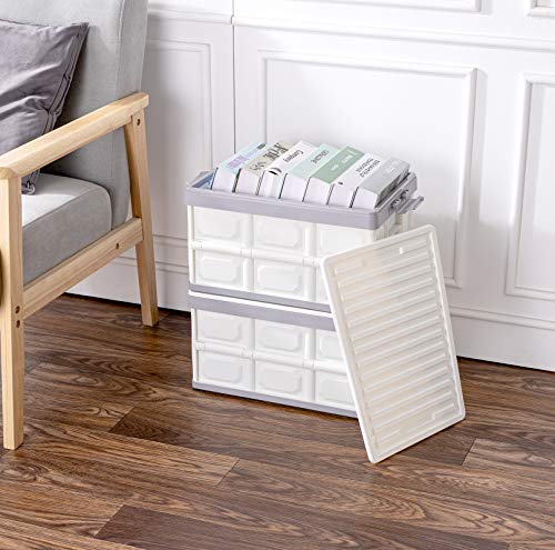 Collapsible Storage Bins with Lids 30L (2 Count)