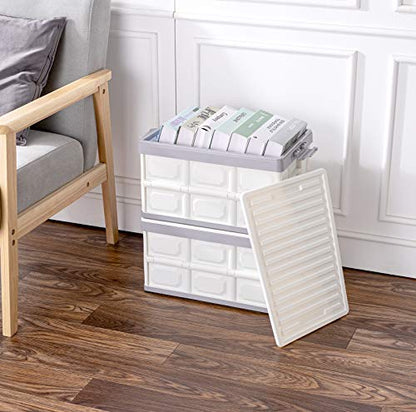 Collapsible Storage Bins with Lids 30L (2 Count)