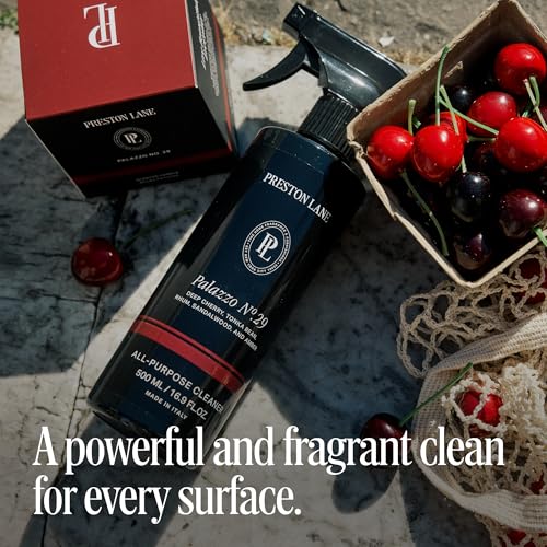 All Purpose Cleaner Spray 16.9oz Multi (10.1 Fl Oz)