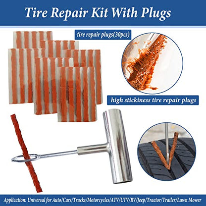 Tire Repair Kit (30 Count)