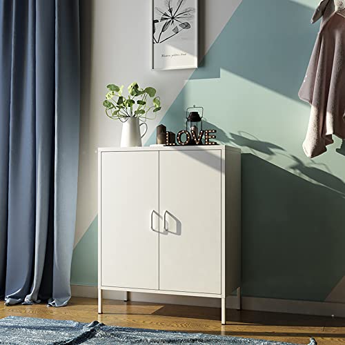 Metal Storage Cabinet with Doors and Shelves