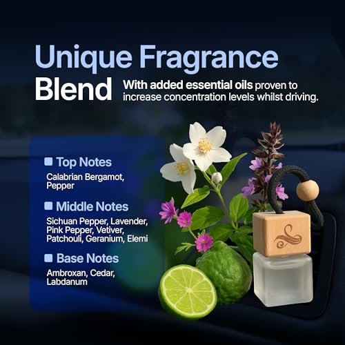Car Air Fresheners for Men