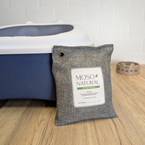 Air Purifying Bag 200g