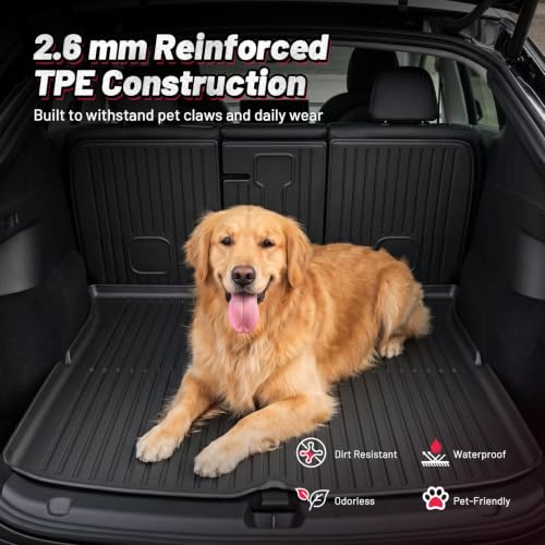 Floor Mats for Tesla Model Y 5 Seat 2021