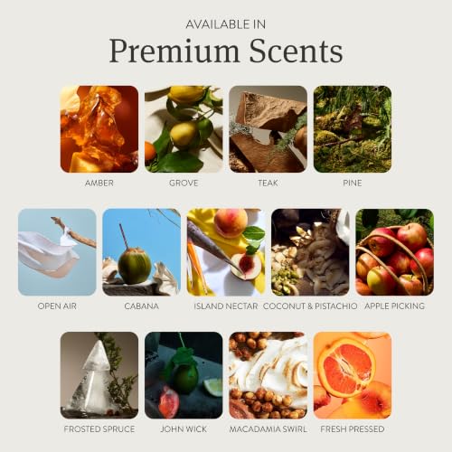 Car Air Freshener (5.3 Ounce)