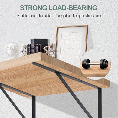 16 Pack L18 x H 12" Black Heavy Duty Shelf Brackets with Screws Metal Shelf Brackets Shelf Support Angle Brackets for Shelves L Brackets Heavy Duty Floating Shelf (16 Count)