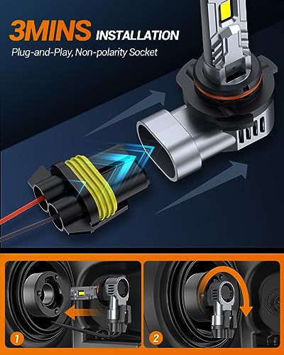 Bulbs (2 Count)