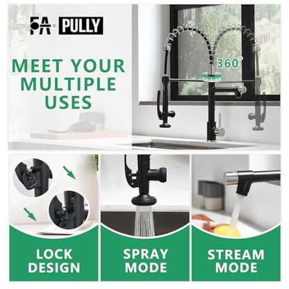 Pull Down Kitchen Faucet with Sprayer Commercial