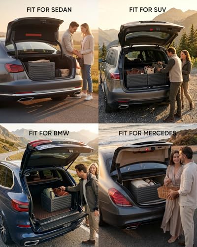 Cargo Organizer