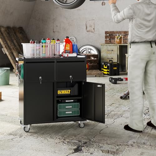 Metal Tool Cabinet with 2 Drawers