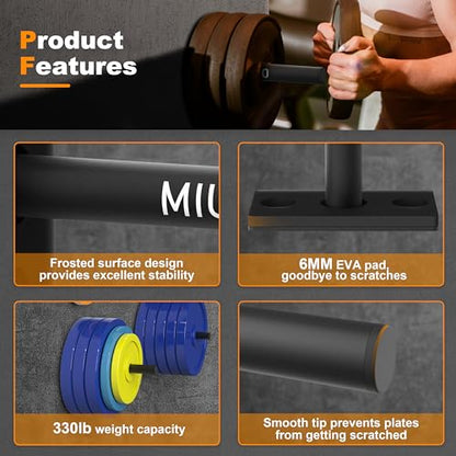 Weight Plate Rack