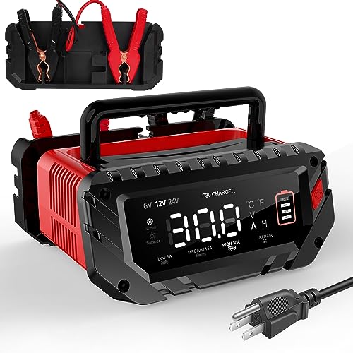 30 Amp 6V 12V