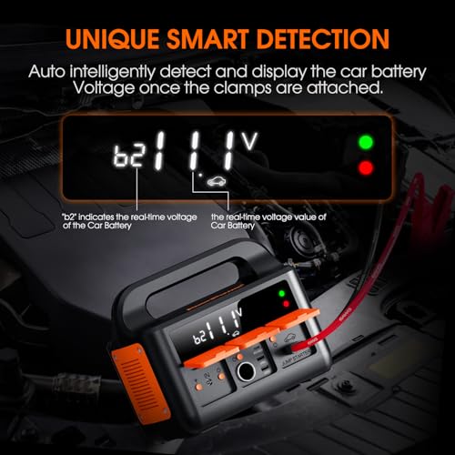 8000A LiFeMnPO4 Jump Starter for All 12V Cars