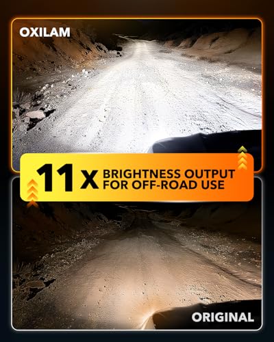 H11 LED Light Bulb (2 Count)