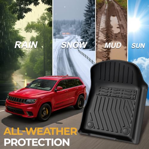 Floor Mats for 2011