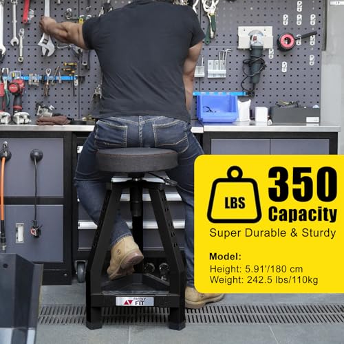 Adjustable Tall Shop Stool