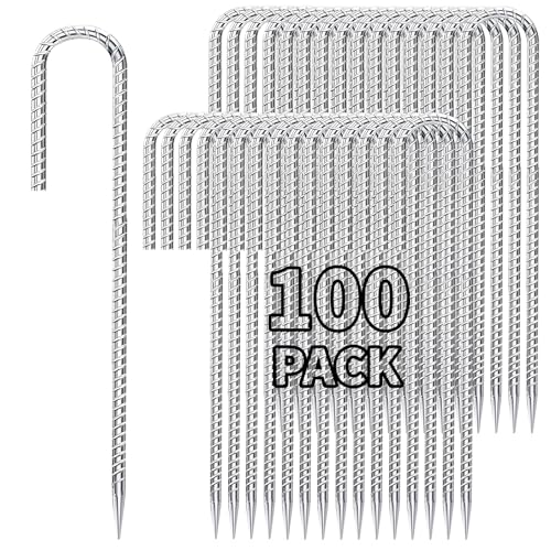 12 inch Stakes Heavy Duty 100 (100 Count)