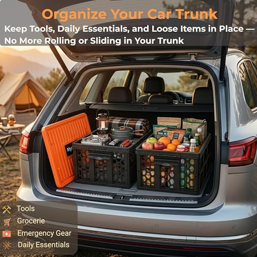 Trunk Crate Organizer with Cooler for Car