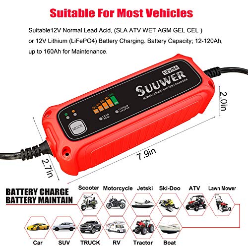 Automatic Battery Charger