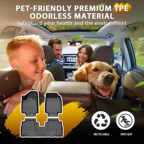 Floor Mats for 2024