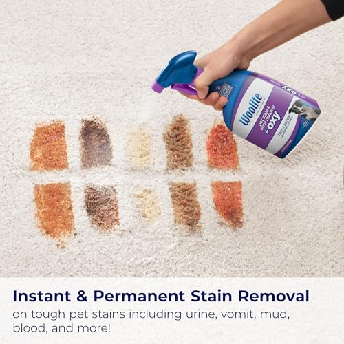 Woolite® Advantage Pet Stain & Odor Remover + Oxy (2 Count)