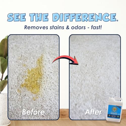 Pet Stain & Odor Remover (128 Fl Oz)