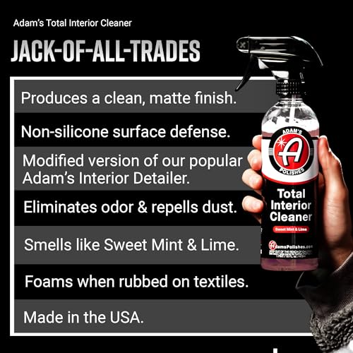 Total Interior Cleaner & Protectant (16 Fl Oz)