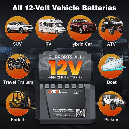 BM300 12V Battery Monitor