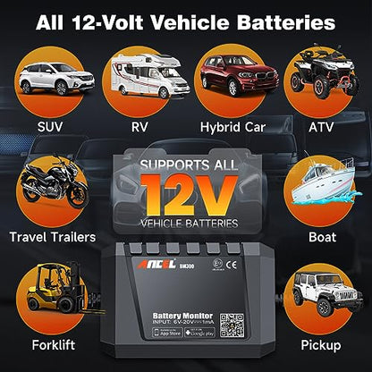 BM300 12V Battery Monitor