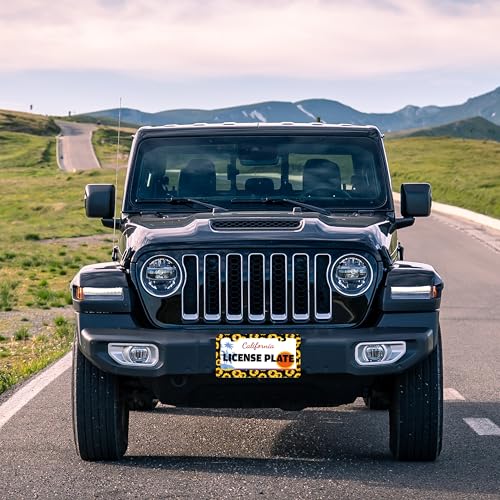 Sunflowers Flowers License Plate Frame Stainless Steel 6.3 X 12.2 Inch