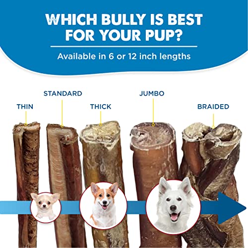 Braided Bully Sticks Dog Chews (3 Count)