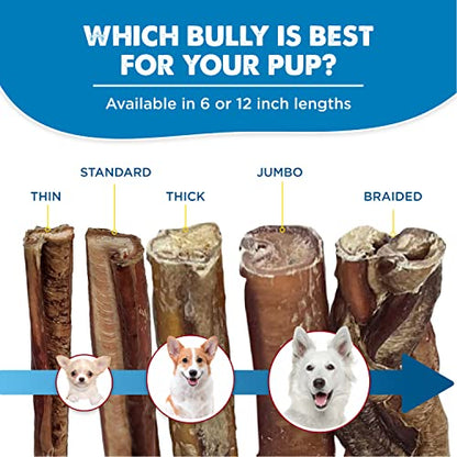 12 Inch Bully Sticks for Dogs (3 Count)