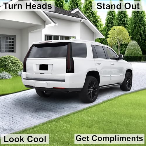 Rear Taillight Tail Light Tint Kit PPF Fits Cadillac Escalade
