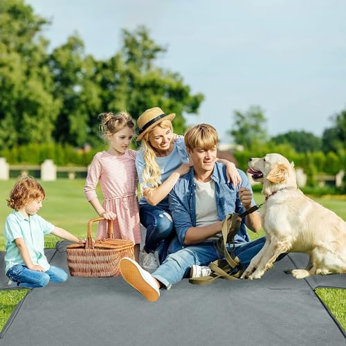 Dog Car Seat Cover for Back Seat