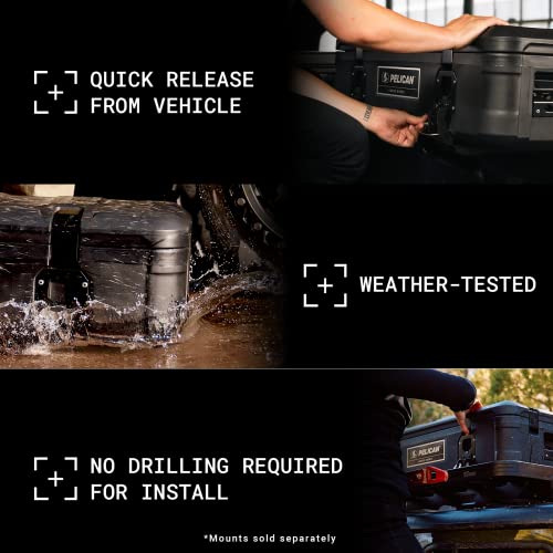 Cargo Case BX255