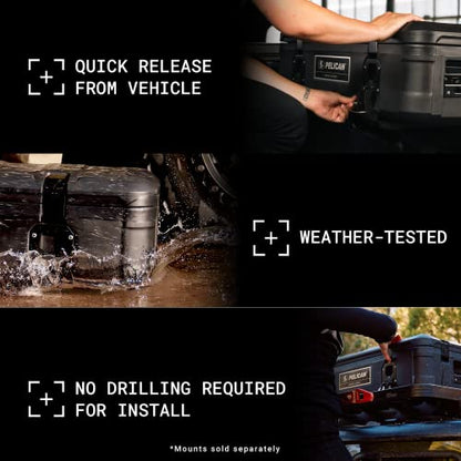 Cargo Case BX255