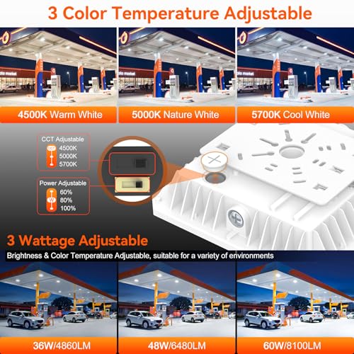 LED Canopy Light with Dusk to Dawn Photocell