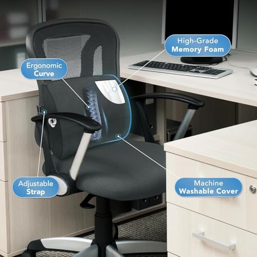 Lumbar Support Pillow for Office Chair and Car Seat