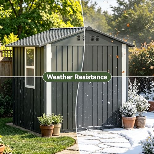 Outdoor Storage Shed with Window