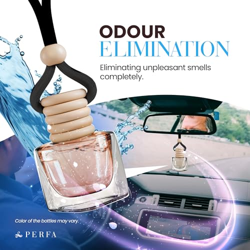 Car Air Freshener (4 Fl Oz)