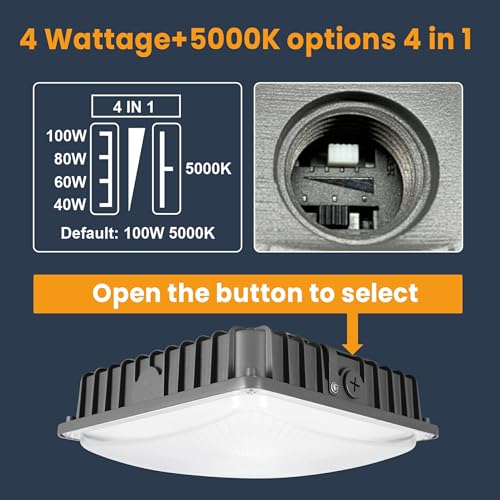 100W LED Canopy Lights 4Pack (4 Count)