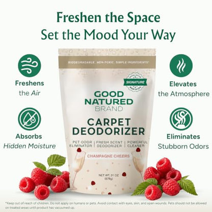 Carpet Deodorizer & Air Freshener Powder (31 Ounce)