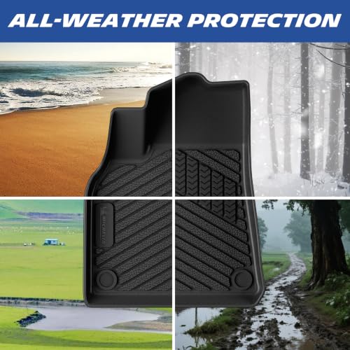 Vehicle Mat for 2020
