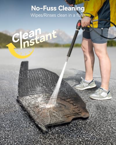 Floor Mats Fit for 2019