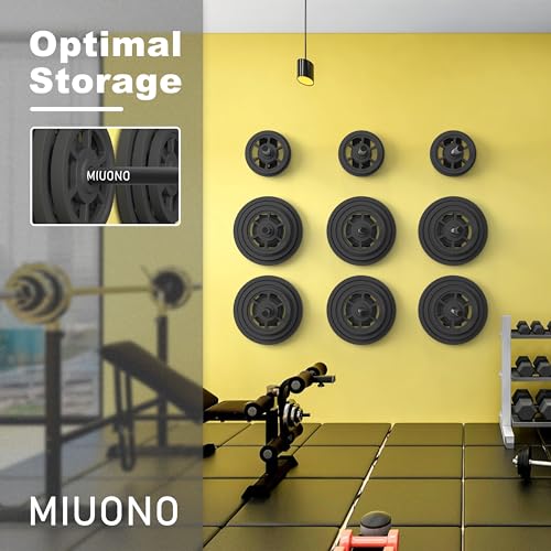 Weight Plate Rack