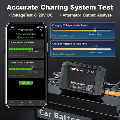 BM300 12V Battery Monitor